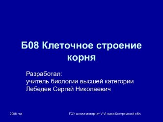 Презентация Клеточное строение корня