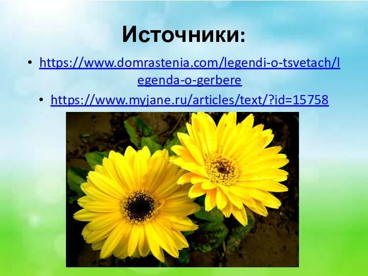 Источники:https://www.domrastenia.com/legendi-o-tsvetach/legenda-o-gerberehttps://www.myjane.ru/articles/text/?id=15758