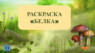 Интерактивная раскраска Белка