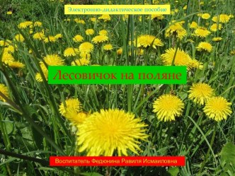 Разработка электронного лэпбука Лесовичок на поляне для детей подготовительной группы