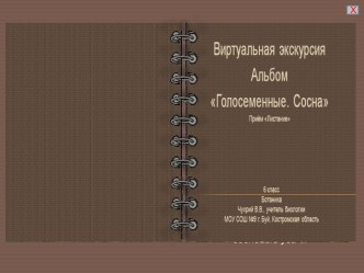 Презентация по биологии для 6 класса. Виртуальная экскурсия по теме: Голосеменные. Сосна