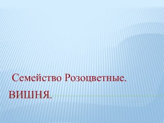 Методическая разработка урока Семейство Розоцветные. Вишня