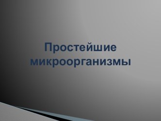 Презентация Простейшие микроорганизмы (7 класс)