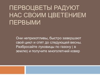 Презентация Первоцветы наших садов