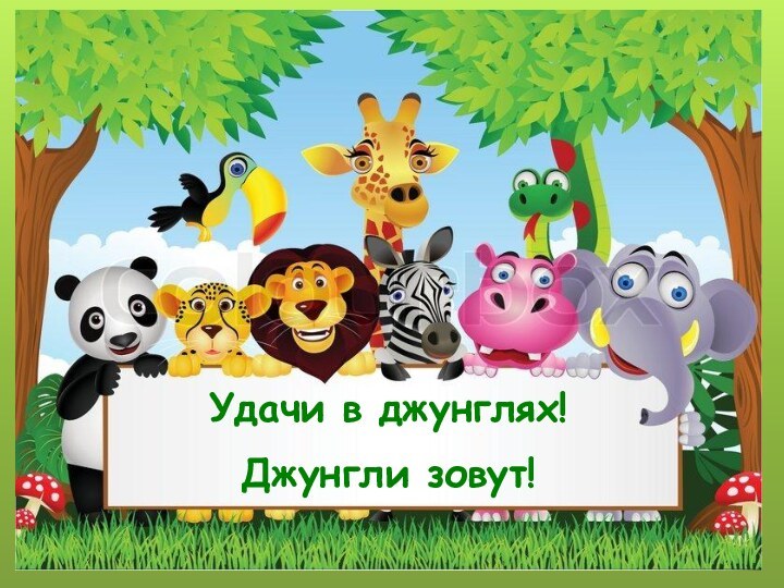 Удачи в джунглях!Джунгли зовут!