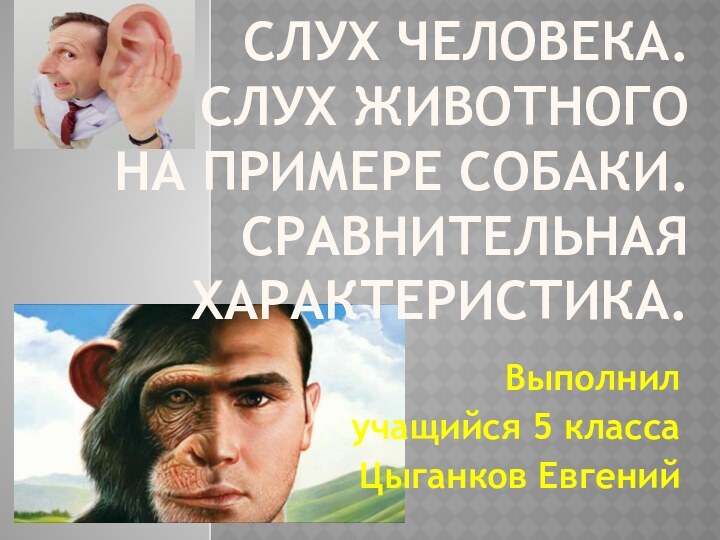 СЛУХ ЧЕЛОВЕКА.  СЛУХ ЖИВОТНОГО  НА ПРИМЕРЕ СОБАКИ. СРАВНИТЕЛЬНАЯ ХАРАКТЕРИСТИКА.Выполнил учащийся 5 классаЦыганков Евгений