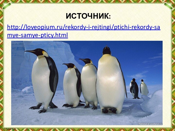 ИСТОЧНИК:http://loveopium.ru/rekordy-i-rejtingi/ptichi-rekordy-samye-samye-pticy.html