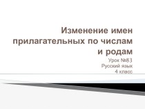 Фрагмент урока русского языка в 4 класса Изменение прилагательных по числам и родам (вводный урок)