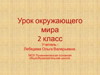 Презентация к уроку окружающего мира Про кошек и собак