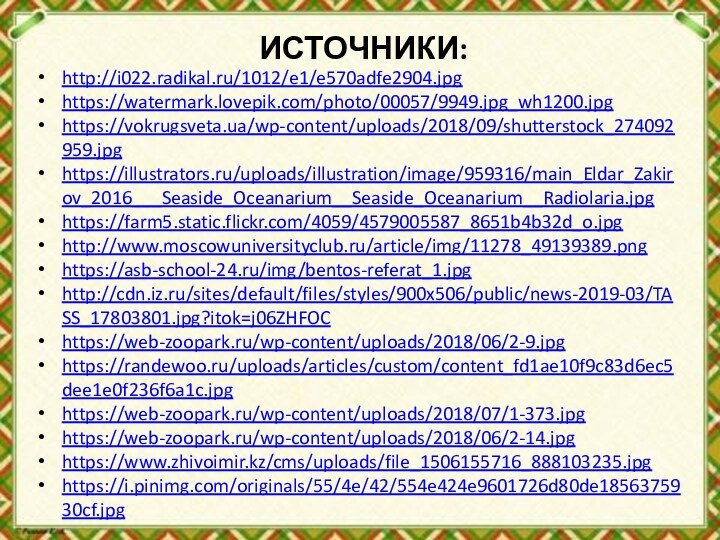 ИСТОЧНИКИ:http://i022.radikal.ru/1012/e1/e570adfe2904.jpghttps://watermark.lovepik.com/photo/00057/9949.jpg_wh1200.jpghttps://vokrugsveta.ua/wp-content/uploads/2018/09/shutterstock_274092959.jpghttps://illustrators.ru/uploads/illustration/image/959316/main_Eldar_Zakirov_2016___Seaside_Oceanarium__Seaside_Oceanarium__Radiolaria.jpghttps://farm5.static.flickr.com/4059/4579005587_8651b4b32d_o.jpghttp://www.moscowuniversityclub.ru/article/img/11278_49139389.pnghttps://asb-school-24.ru/img/bentos-referat_1.jpghttp://cdn.iz.ru/sites/default/files/styles/900x506/public/news-2019-03/TASS_17803801.jpg?itok=j06ZHFOChttps://web-zoopark.ru/wp-content/uploads/2018/06/2-9.jpghttps://randewoo.ru/uploads/articles/custom/content_fd1ae10f9c83d6ec5dee1e0f236f6a1c.jpghttps://web-zoopark.ru/wp-content/uploads/2018/07/1-373.jpghttps://web-zoopark.ru/wp-content/uploads/2018/06/2-14.jpghttps://www.zhivoimir.kz/cms/uploads/file_1506155716_888103235.jpghttps://i.pinimg.com/originals/55/4e/42/554e424e9601726d80de1856375930cf.jpg