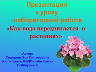 Урок-лабораторная работа Как вода передвигается в растениях. Экспериментальная деятельность кружка Юный эколог