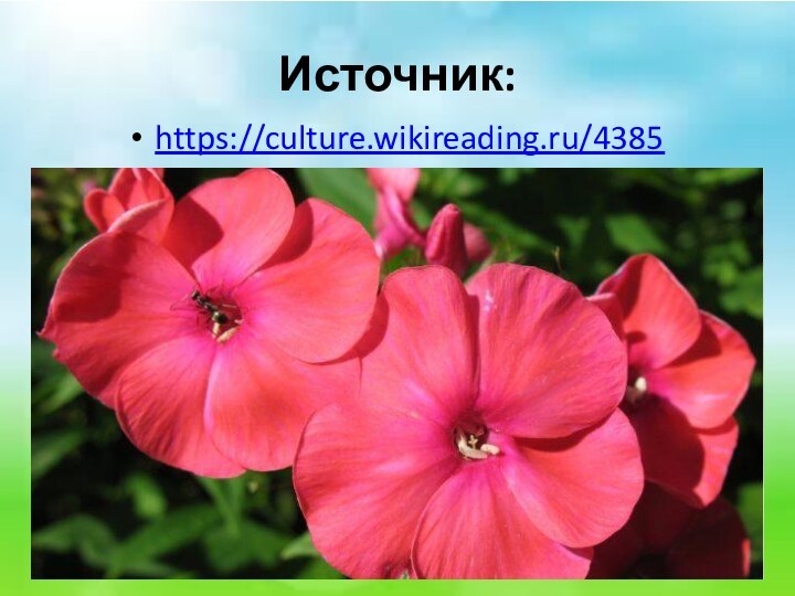 Источник:https://culture.wikireading.ru/4385