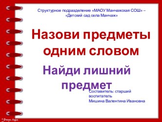 Презентация Назови одним словом. Найди лишний предмет