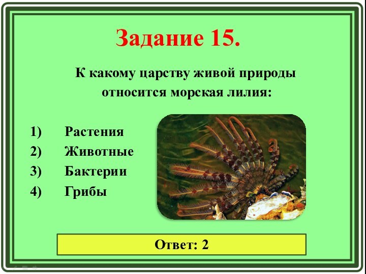 Задание 15. К какому царству живой природы относится морская лилия:РастенияЖивотныеБактерииГрибыОтвет: 2