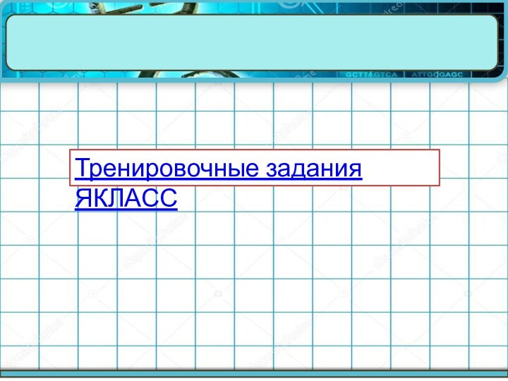 Тренировочные задания ЯКЛАСС