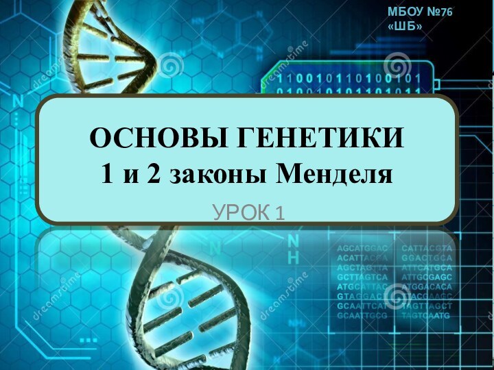 ОСНОВЫ ГЕНЕТИКИ 1 и 2 законы МенделяУРОК 1