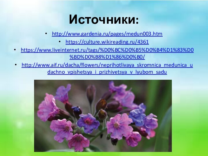 Источники:http://www.gardenia.ru/pages/medun003.htmhttps://culture.wikireading.ru/4361https://www.liveinternet.ru/tags/%D0%BC%D0%B5%D0%B4%D1%83%D0%BD%D0%B8%D1%86%D0%B0/http://www.aif.ru/dacha/flowers/neprihotlivaya_skromnica_medunica_udachno_vpishetsya_i_prizhivetsya_v_lyubom_sadu