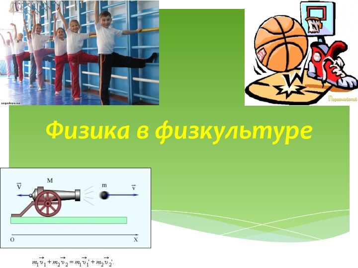 Физика в физкультуре