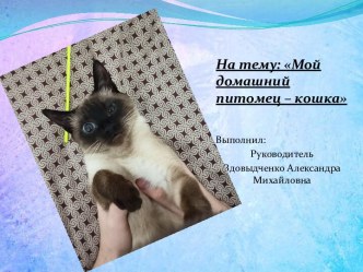 Мой домашний питомец – кошка