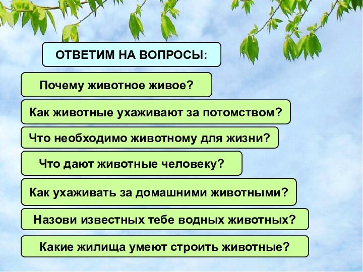 ОТВЕТИМ НА ВОПРОСЫ:Почему животное живое?Как животные ухаживают за потомством?Что необходимо животному для