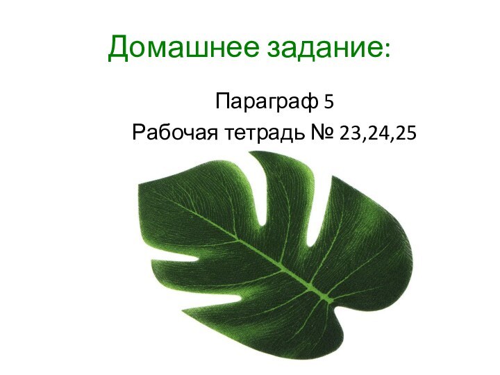 Домашнее задание:Параграф 5Рабочая тетрадь № 23,24,25