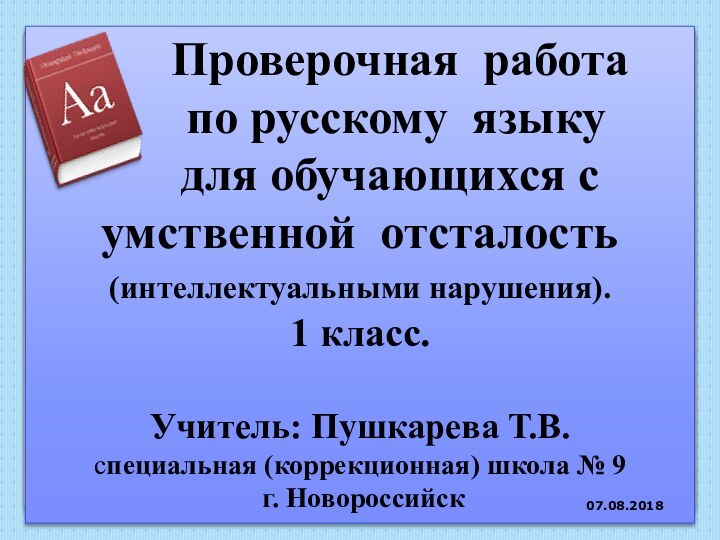 Проверочная работа    по русскому языку