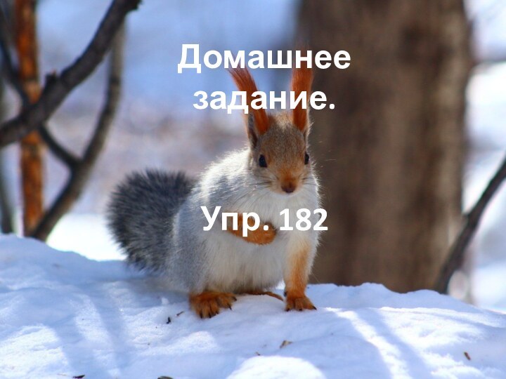 Домашнее задание.Упр. 182