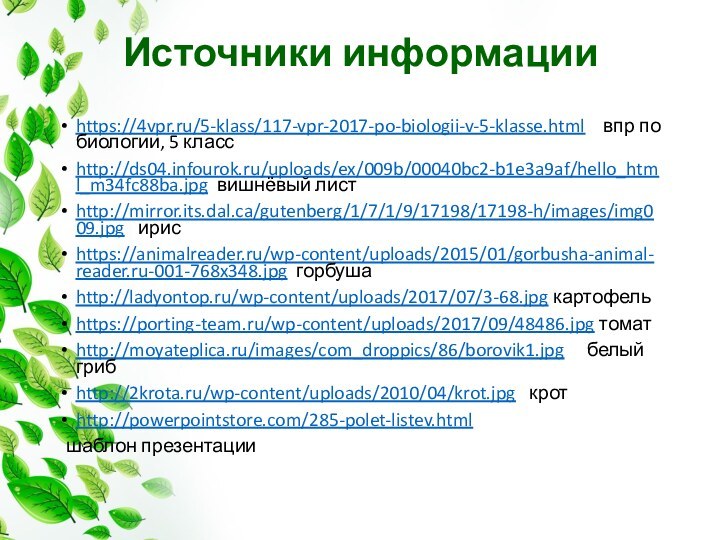 Источники информацииhttps://4vpr.ru/5-klass/117-vpr-2017-po-biologii-v-5-klasse.html  впр по биологии, 5 класс http://ds04.infourok.ru/uploads/ex/009b/00040bc2-b1e3a9af/hello_html_m34fc88ba.jpg вишнёвый листhttp://mirror.its.dal.ca/gutenberg/1/7/1/9/17198/17198-h/images/img009.jpg