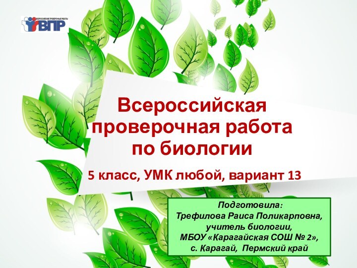 Всероссийская проверочная работа  по биологии  5 класс, УМК любой, вариант