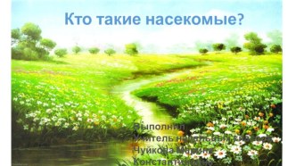 Кто такие насекомые?