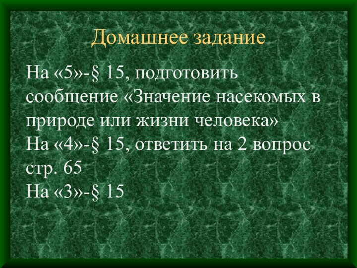 Домашнее заданиеНа «5»-§ 15, подготовить сообщение «Значение насекомых в природе или жизни