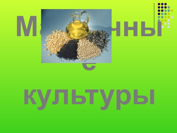 Масличные культуры