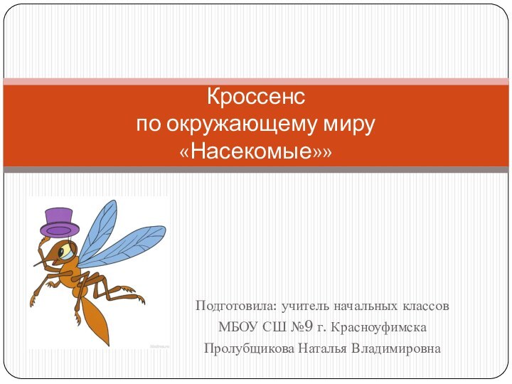 Подготовила: учитель начальных классов МБОУ СШ №9 г. КрасноуфимскаПролубщикова Наталья ВладимировнаКроссенс