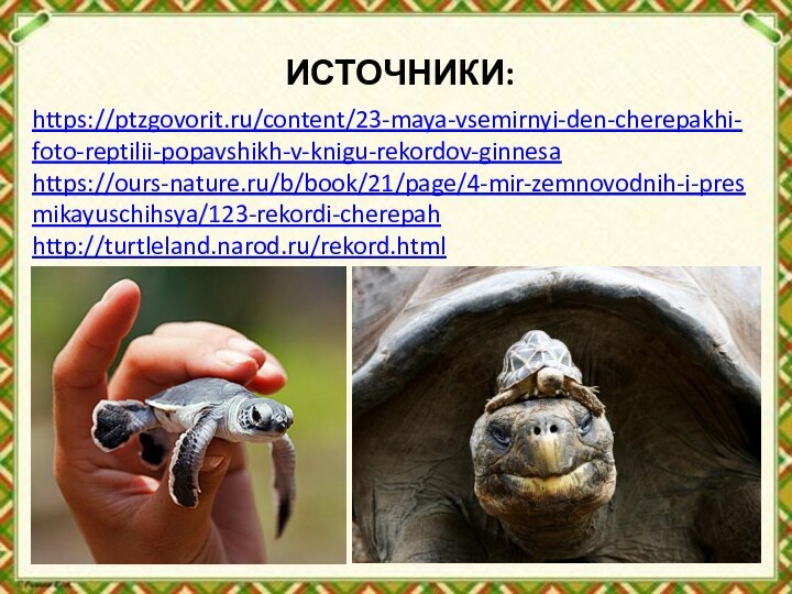 ИСТОЧНИКИ:https://ptzgovorit.ru/content/23-maya-vsemirnyi-den-cherepakhi-foto-reptilii-popavshikh-v-knigu-rekordov-ginnesa https://ours-nature.ru/b/book/21/page/4-mir-zemnovodnih-i-presmikayuschihsya/123-rekordi-cherepah http://turtleland.narod.ru/rekord.html