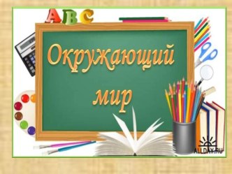 Презентация по окружающему миру Сколько живут растения, 2 класс