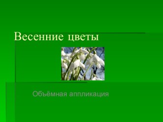 Мастер-класс Весенние цветы. Объёмная аппликация