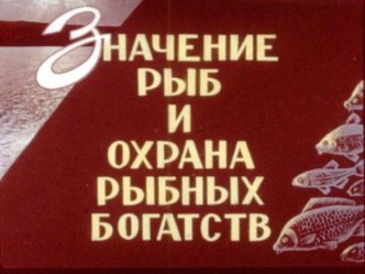 Презентация Значение рыб и охрана рыбных богатств