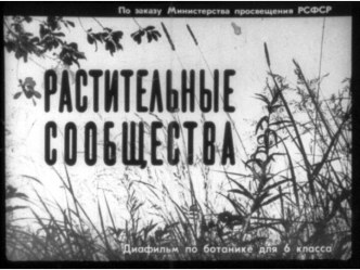 Презентация Растительные сообщества (чёрно-белый)