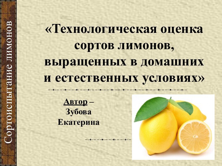 Автор –  Зубова Екатерина Сортоиспытание лимонов«Технологическая оценка сортов лимонов, выращенных в