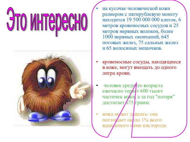 на кусочке человеческой кожи размером с пятирублевую монету находится 19 500 000