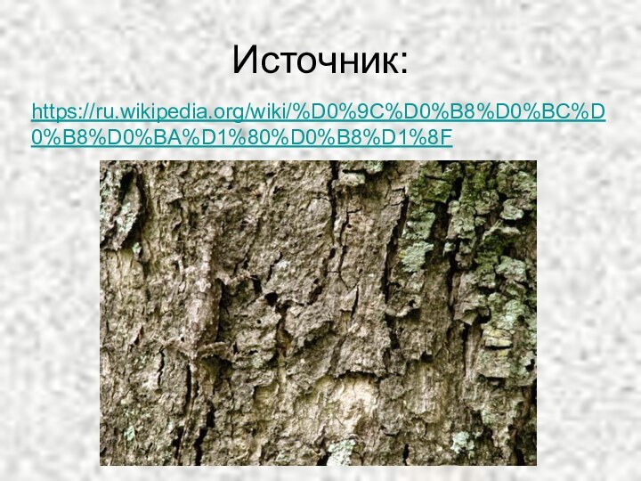 Источник:https://ru.wikipedia.org/wiki/%D0%9C%D0%B8%D0%BC%D0%B8%D0%BA%D1%80%D0%B8%D1%8F