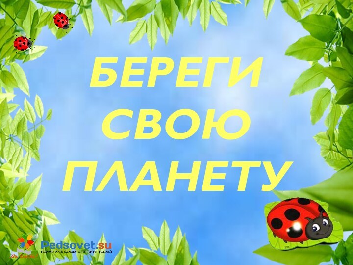 БЕРЕГИ СВОЮ ПЛАНЕТУ