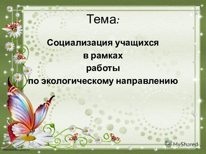 Тема:Социализация учащихся в рамках работы по экологическому направлению