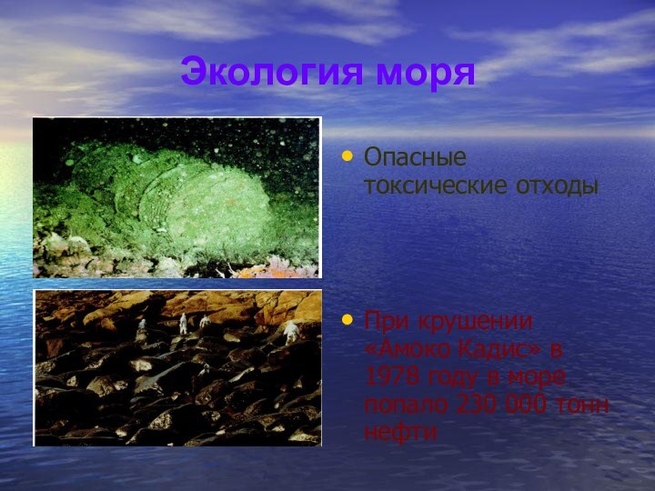 Экология моряОпасные токсические отходыПри крушении «Амоко Кадис» в 1978 году в море