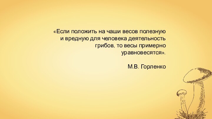 «Если положить на чаши весов полезную и вредную для человека деятельность грибов,