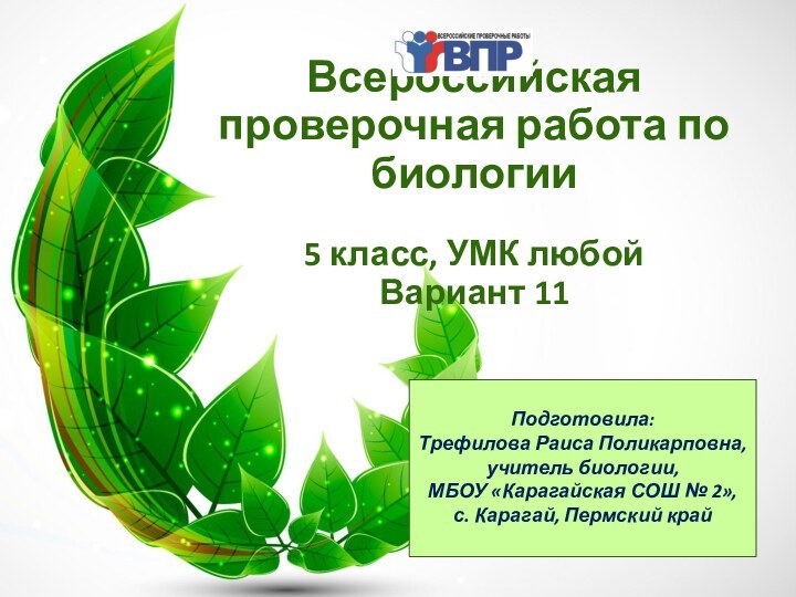 Всероссийская проверочная работа по биологии5 класс, УМК любой Вариант 11 Подготовила:Трефилова