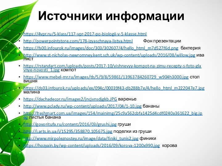 Источники информацииhttps://4vpr.ru/5-klass/117-vpr-2017-po-biologii-v-5-klasse.html   http://powerpointstore.com/178-izyaschnaya-listva.html     Фон презентацииhttps://fs00.infourok.ru/images/doc/303/302607/4/hello_html_m7d527f6d.png бактерияhttp://www.st-nicholas-newromney.kent.sch.uk/wp-content/uploads/2016/08/willow.jpg