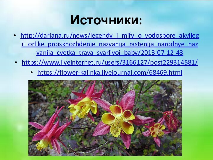 Источники:http://darjana.ru/news/legendy_i_mify_o_vodosbore_akvilegii_orlike_proiskhozhdenie_nazvanija_rastenija_narodnye_nazvanija_cvetka_trava_svarlivoj_baby/2013-07-12-43https://www.liveinternet.ru/users/3166127/post229314581/https://flower-kalinka.livejournal.com/68469.html