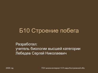 Презентация Строение побега