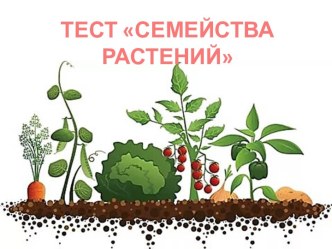 Интерактивный тест Семейства растений